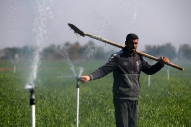 伊拉克喷灌系统使当地农作物重获新生